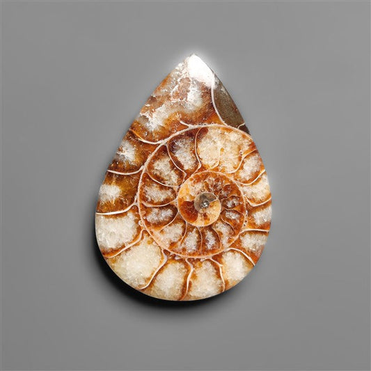 Ammonite Cabochon