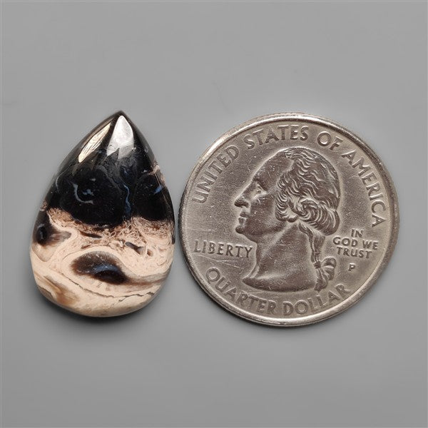 Indonesian Palmroot Cabochon