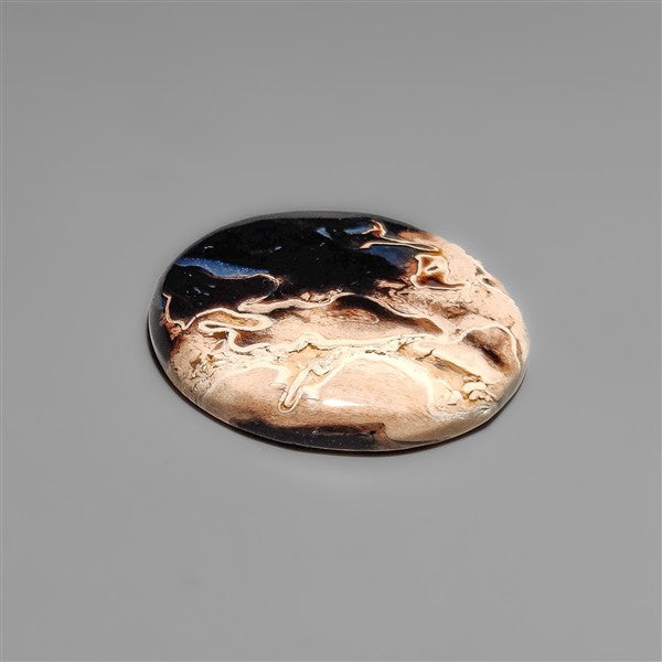 Indonesian Palmroot Cabochon