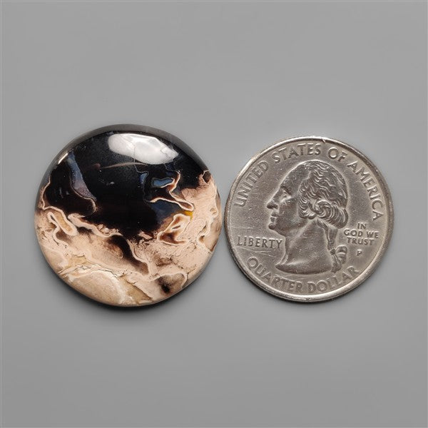 Indonesian Palmroot Cabochon