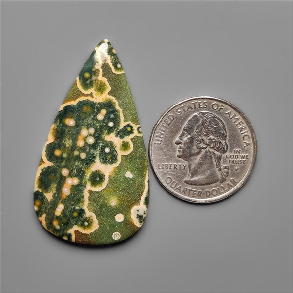 Orbicular Ocean Jasper Cabochon