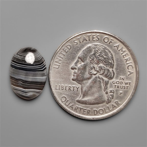 Black Banded Tuxedo Agate Cabochon