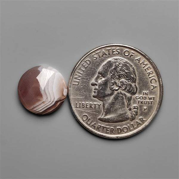 Rose Cut Botswana Agate