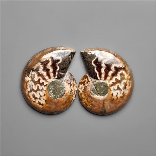 Ammonite Fossil Pair with Suture Pattern