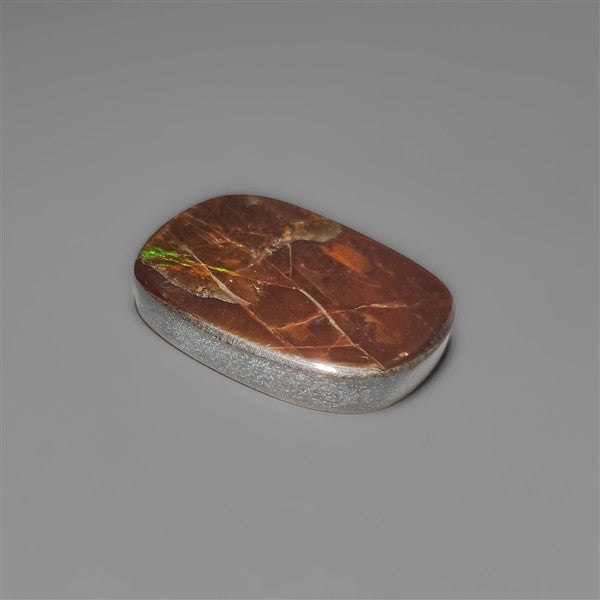 AAA Ammolite