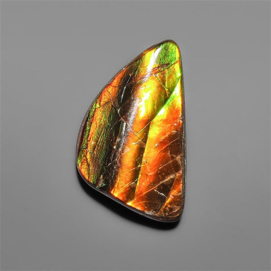 AAA Ammolite