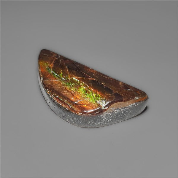 AAA Ammolite