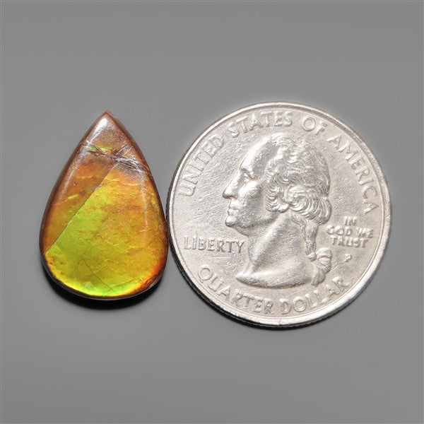 AAA Ammolite