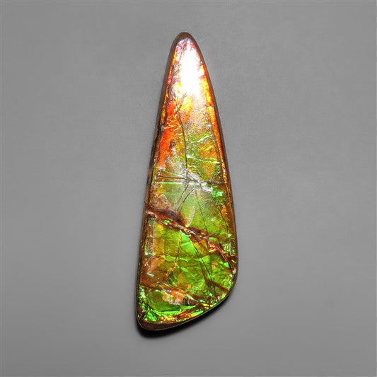 AAA Ammolite
