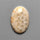 Fossil Coral Cabochon