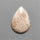 Fossil Coral Cabochon