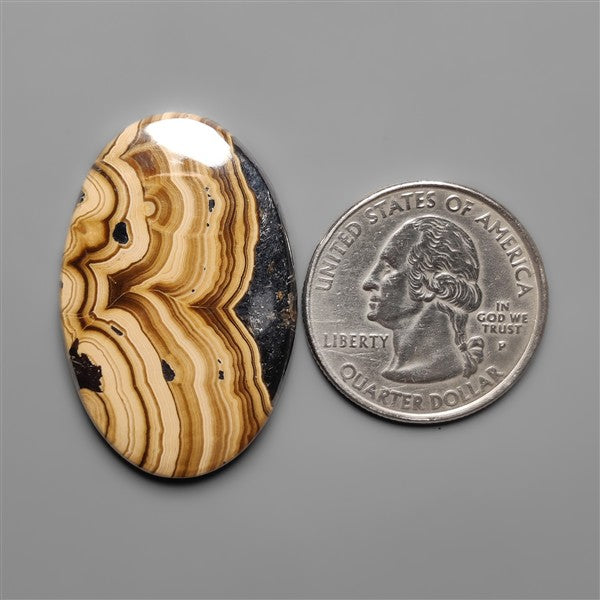 Schalenblende Cabochon Selected Patterns