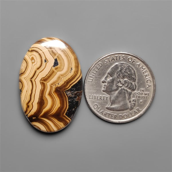 Schalenblende Cabochon Selected Patterns