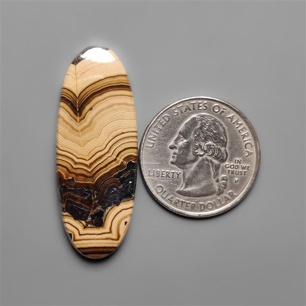 Schalenblende Cabochon Selected Patterns