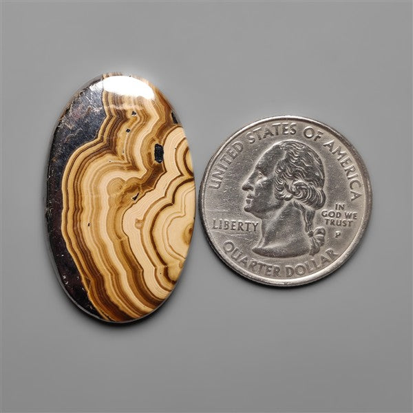 Schalenblende Cabochon Selected Patterns