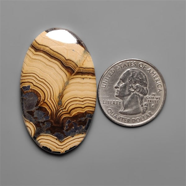 Schalenblende Cabochon Selected Patterns