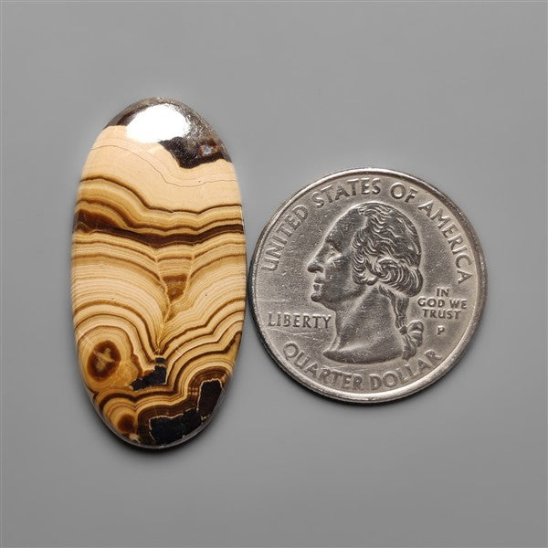 Schalenblende Cabochon Selected Patterns