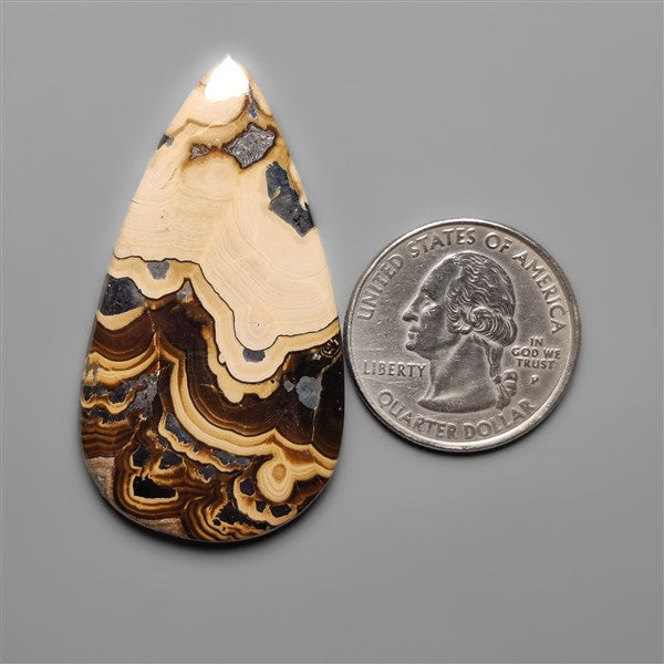 Schalenblende Cabochon Selected Patterns