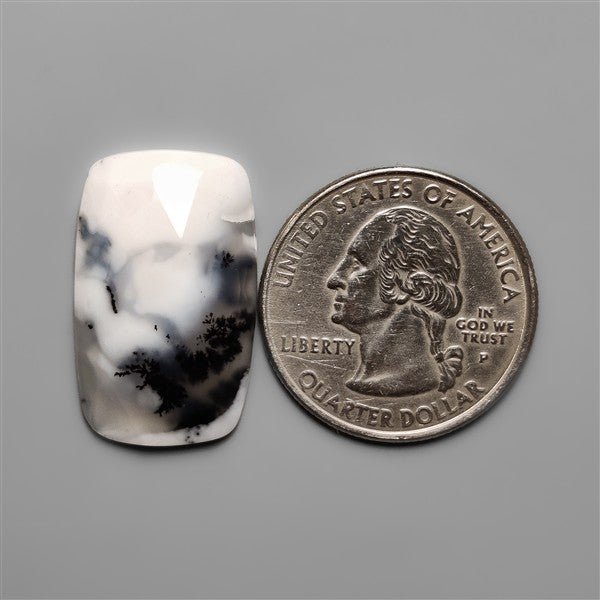 Rose Cut Dendritic Agate