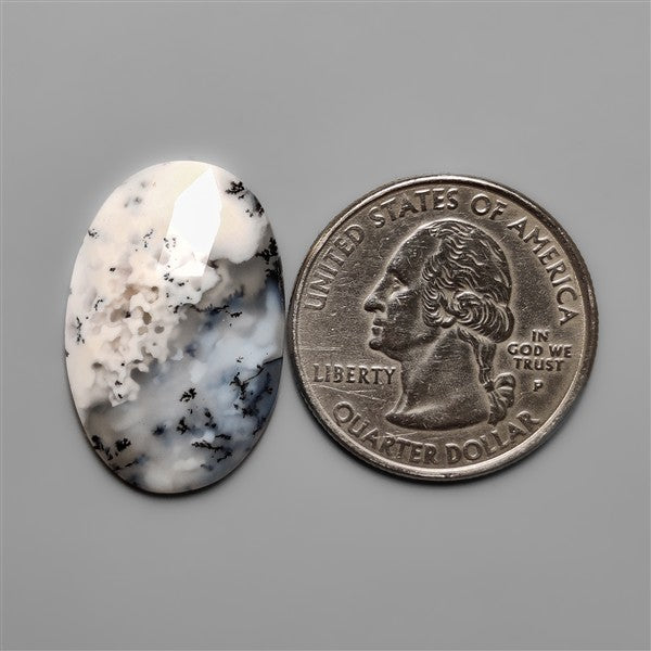 Rose Cut Dendritic Agate