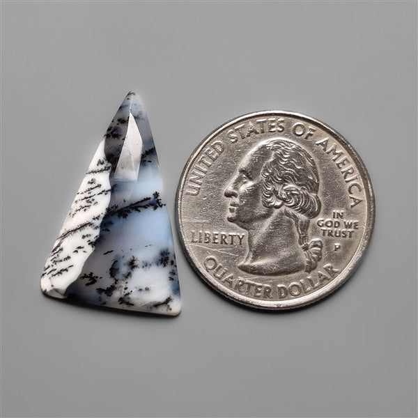Rose Cut Dendritic Agate