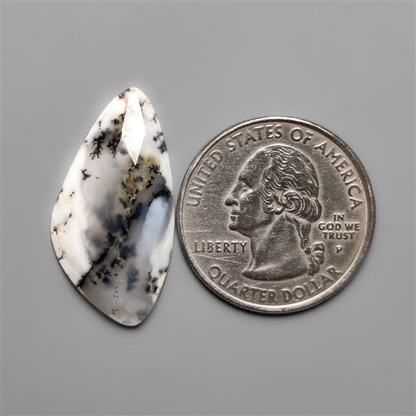 Rose Cut Dendritic Agate