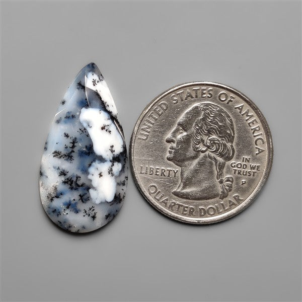 Rose Cut Dendritic Agate