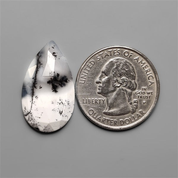 Rose Cut Dendritic Agate