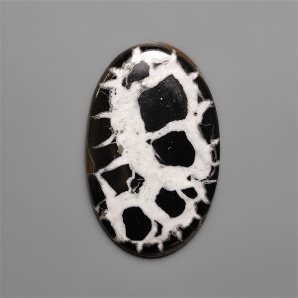 Black Septarian Fossil