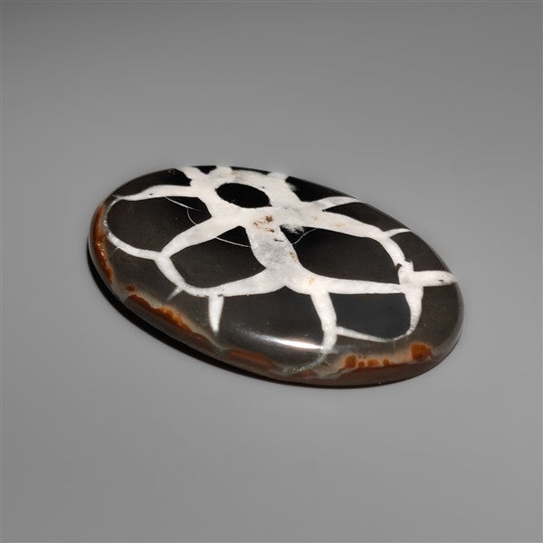 Black Septarian Fossil