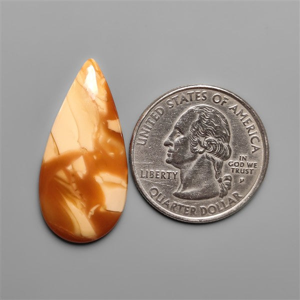 Bruneau Jasper Cabochon