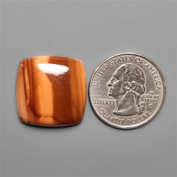 Bruneau Jasper Cabochon