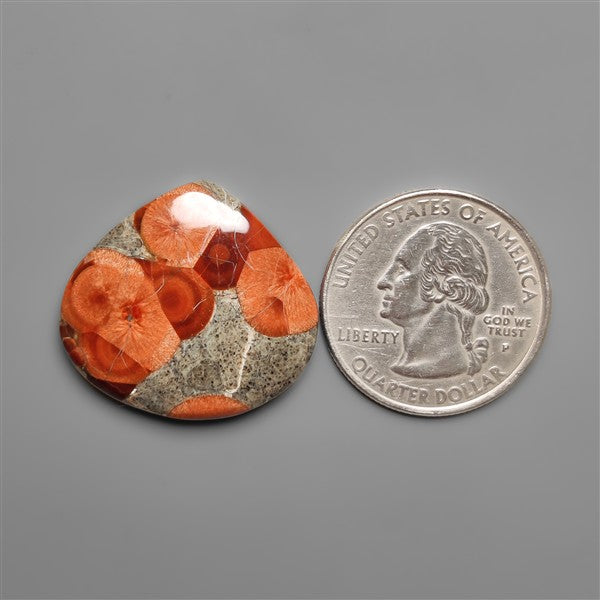 Peanut Wood Obsidian Cabochon