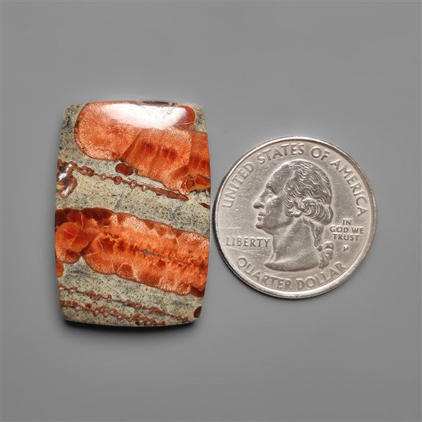 Peanut Wood Obsidian Cabochon