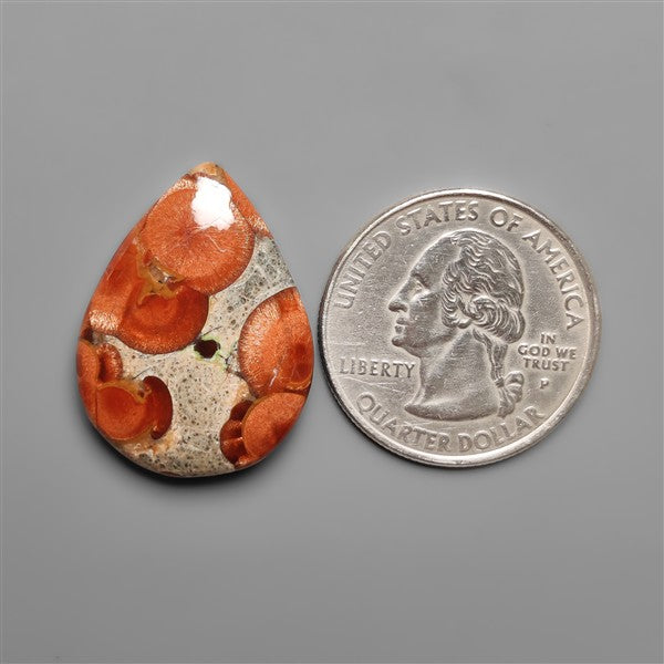 Peanut Wood Obsidian Cabochon