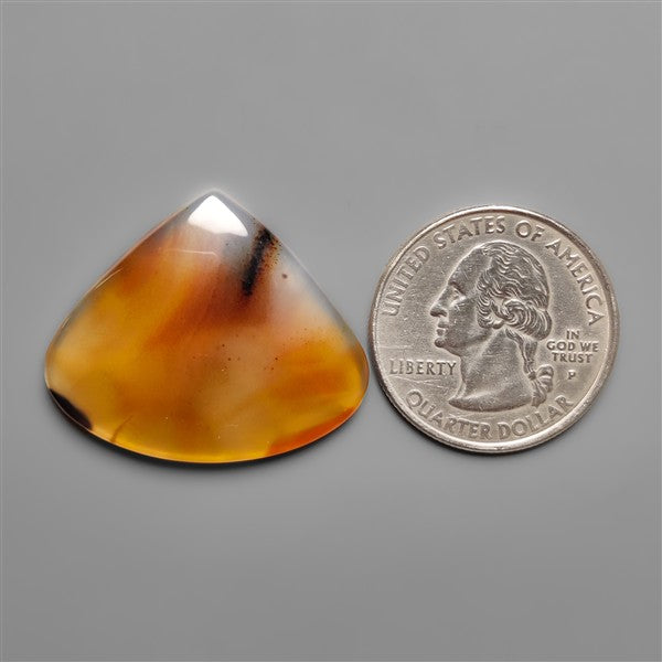 Montana Agate Cabochon