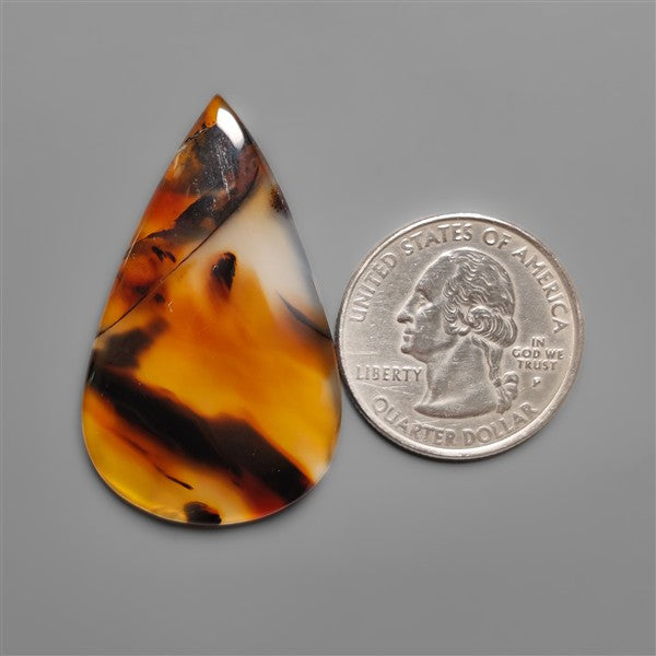 Montana Agate Cabochon