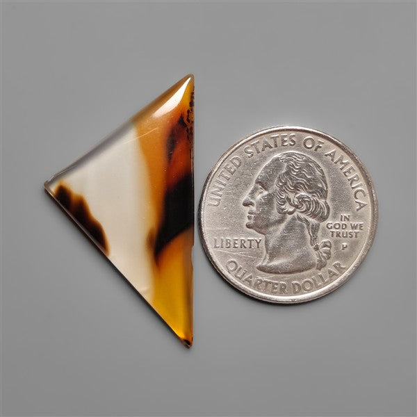 Montana Agate Cabochon