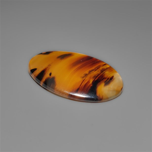 Montana Agate Cabochon