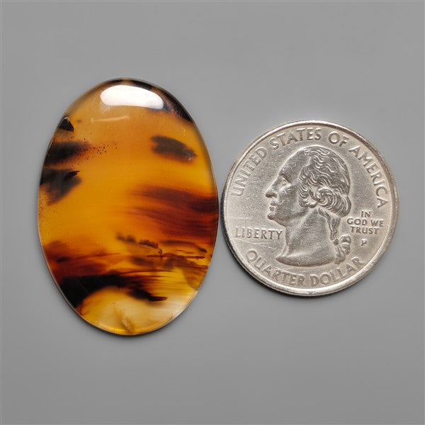Montana Agate Cabochon