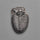 Rare Trilobite Fossil