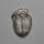 Rare Trilobite Fossil