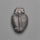 Rare Trilobite Fossil