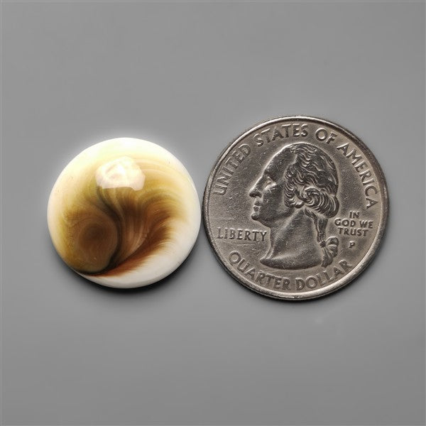 Shiva Eye Shell Cabochon