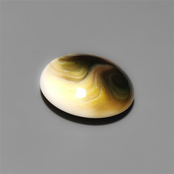 Shiva Eye Shell Cabochon