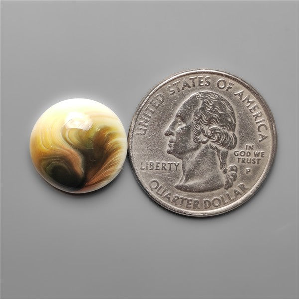 Shiva Eye Shell Cabochon