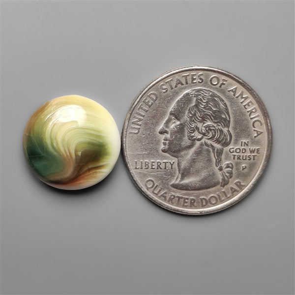 Shiva Eye Shell Cabochon
