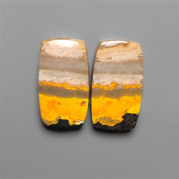 Bumble Bee Jaspers Pair