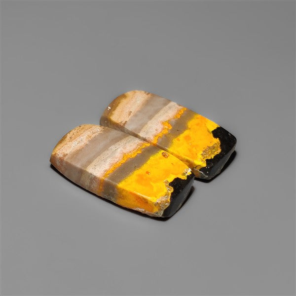 Bumble Bee Jaspers Pair