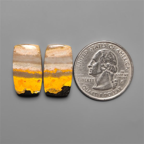 Bumble Bee Jaspers Pair